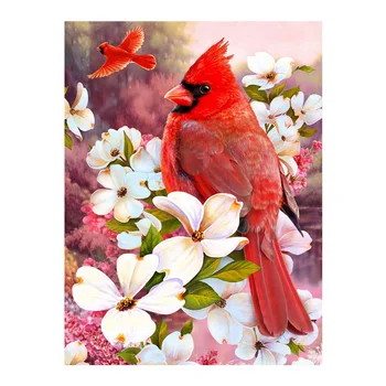  【atsargos】Cardinals paukštis 